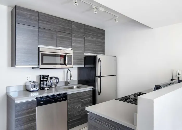 Apartment South Loop 1br Nr L Grant Park Chi-805 Chicago