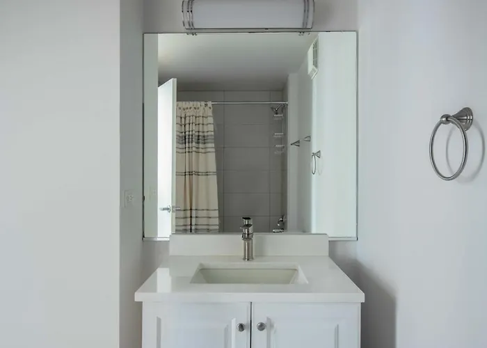 South Loop 1br Nr L Grant Park Chi-805