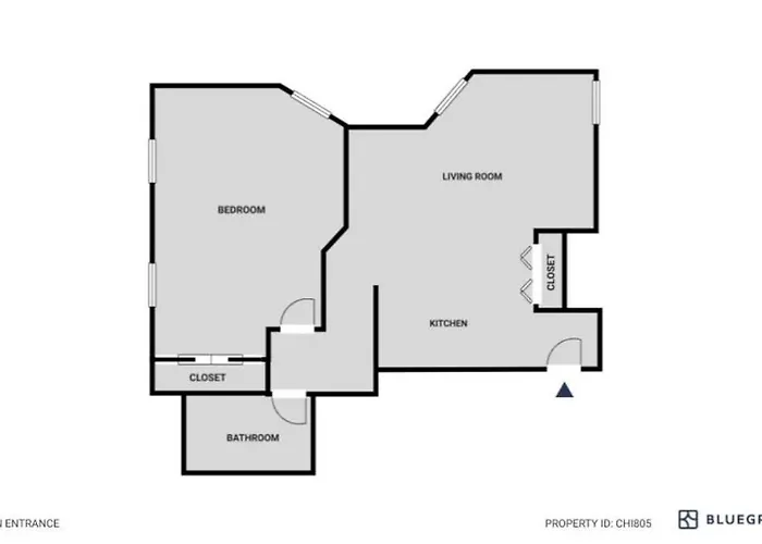 South Loop 1br Nr L Grant Park Chi-805 Apartment Chicago
