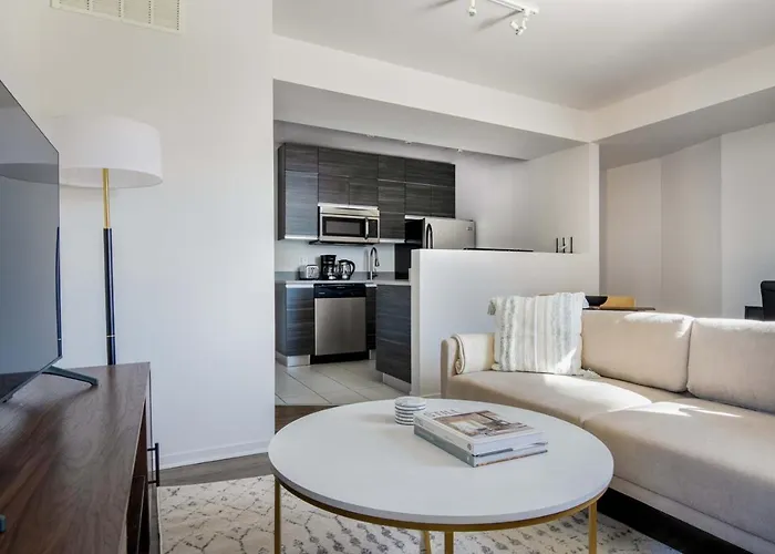 South Loop 1br Nr L Grant Park Chi-805 Apartment Chicago