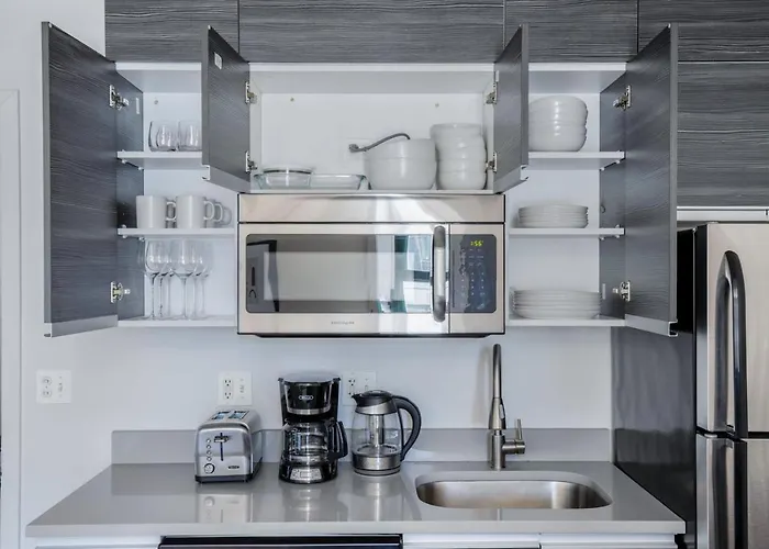 South Loop 1br Nr L Grant Park Chi-805