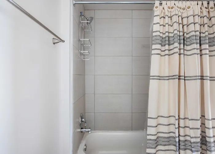 South Loop 1br Nr L Grant Park Chi-805