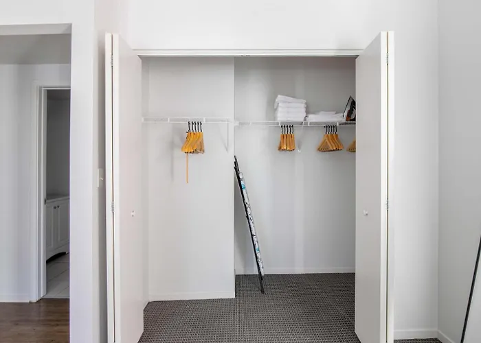 South Loop 1br Nr L Grant Park Chi-805 Apartment *
